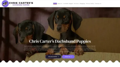 Screenshot of