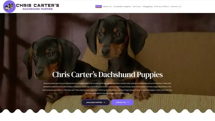Screenshot of