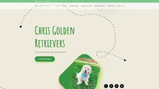Screenshot of