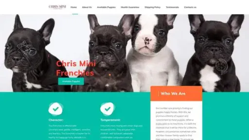 Screenshot of