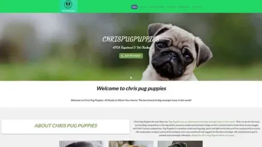 Screenshot of