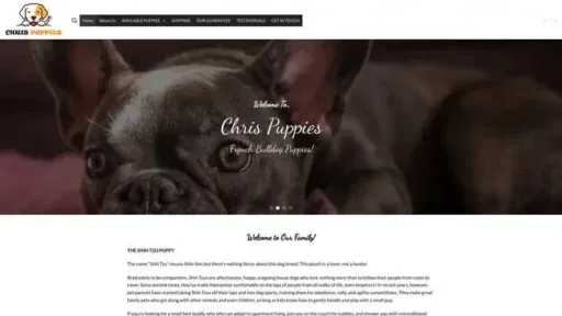 Screenshot of