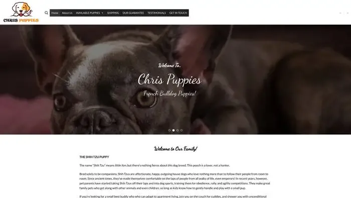 Screenshot of