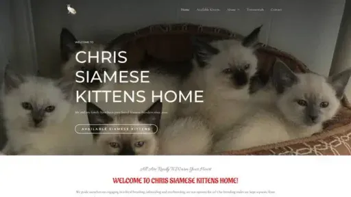 Screenshot of
