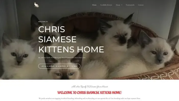 Screenshot of