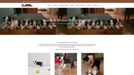 Screenshot of