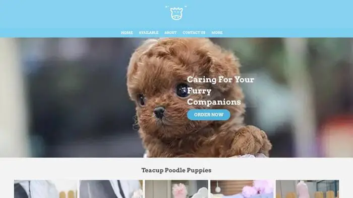 Screenshot of