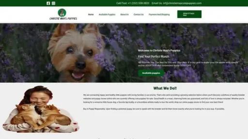 Screenshot of