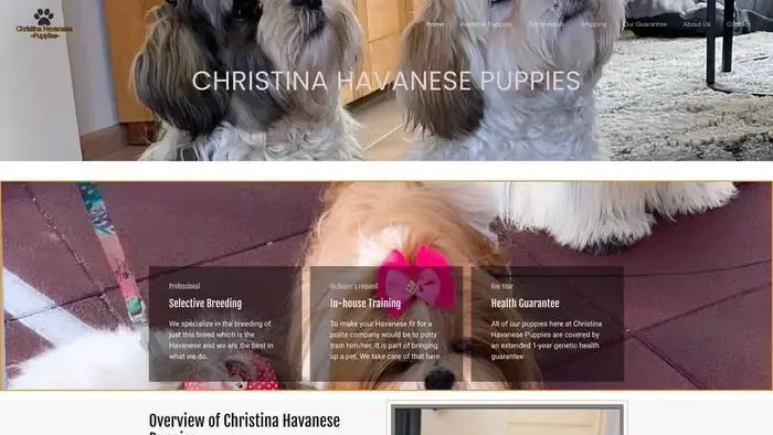 Screenshot of