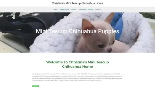 Screenshot of