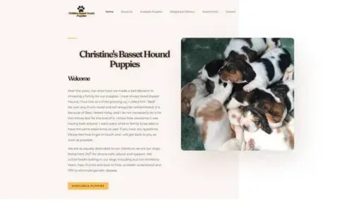 Screenshot of