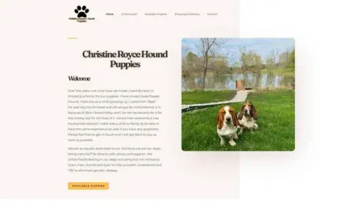 Screenshot of
