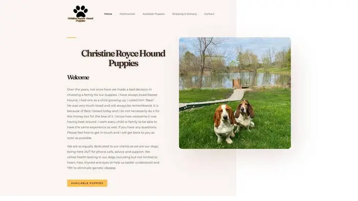 Screenshot of