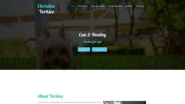 Screenshot of