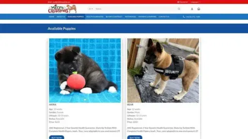 Screenshot of