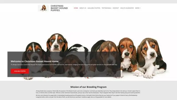 Screenshot of|