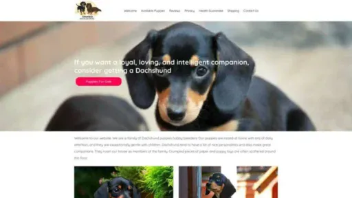 Screenshot of||