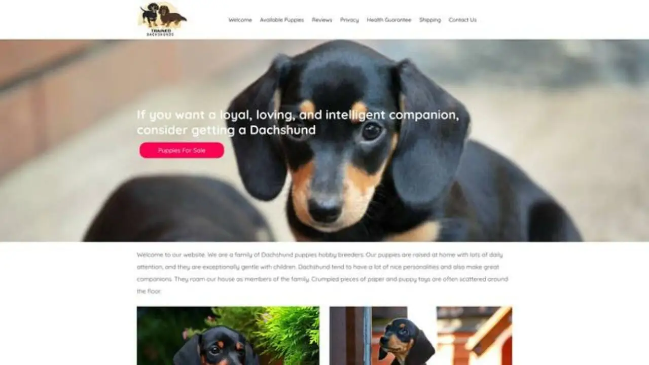 Christmasdachshundhome