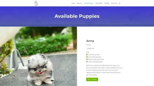 Screenshot of