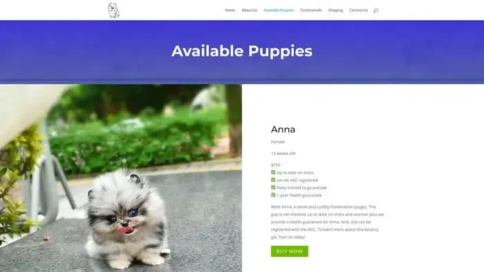Screenshot of