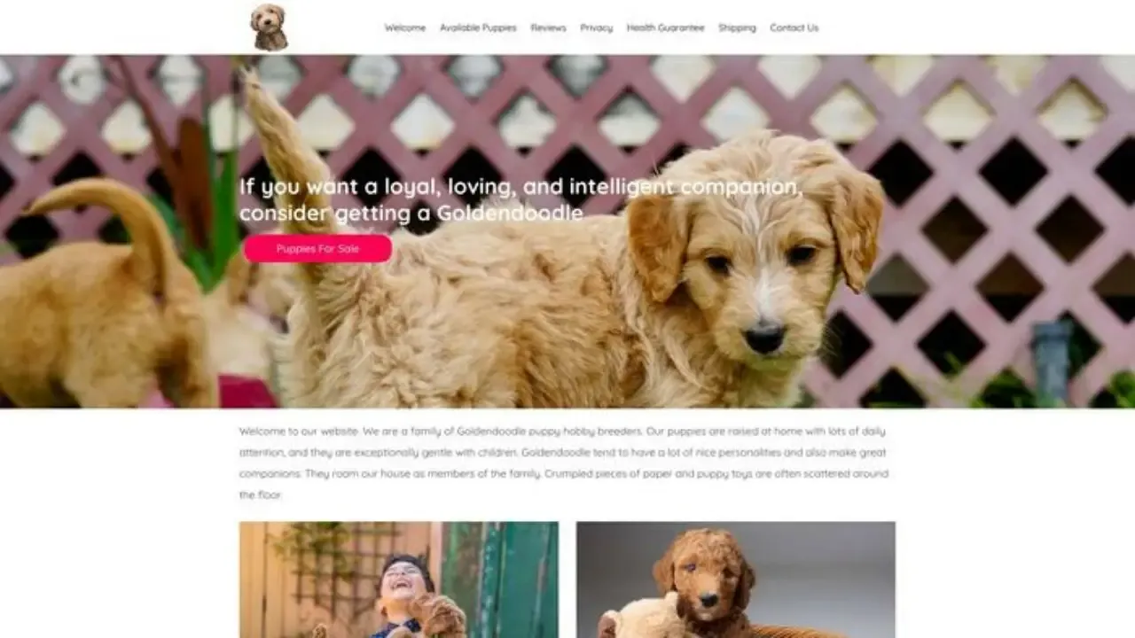 Christmassgoldendoodles