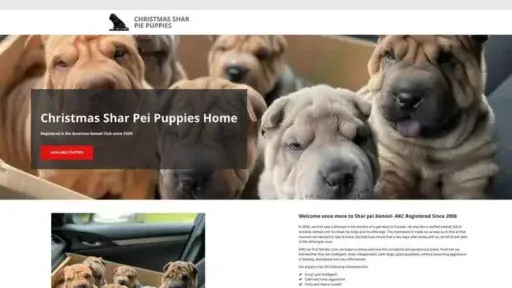 Screenshot of|