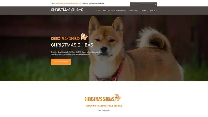 Screenshot of