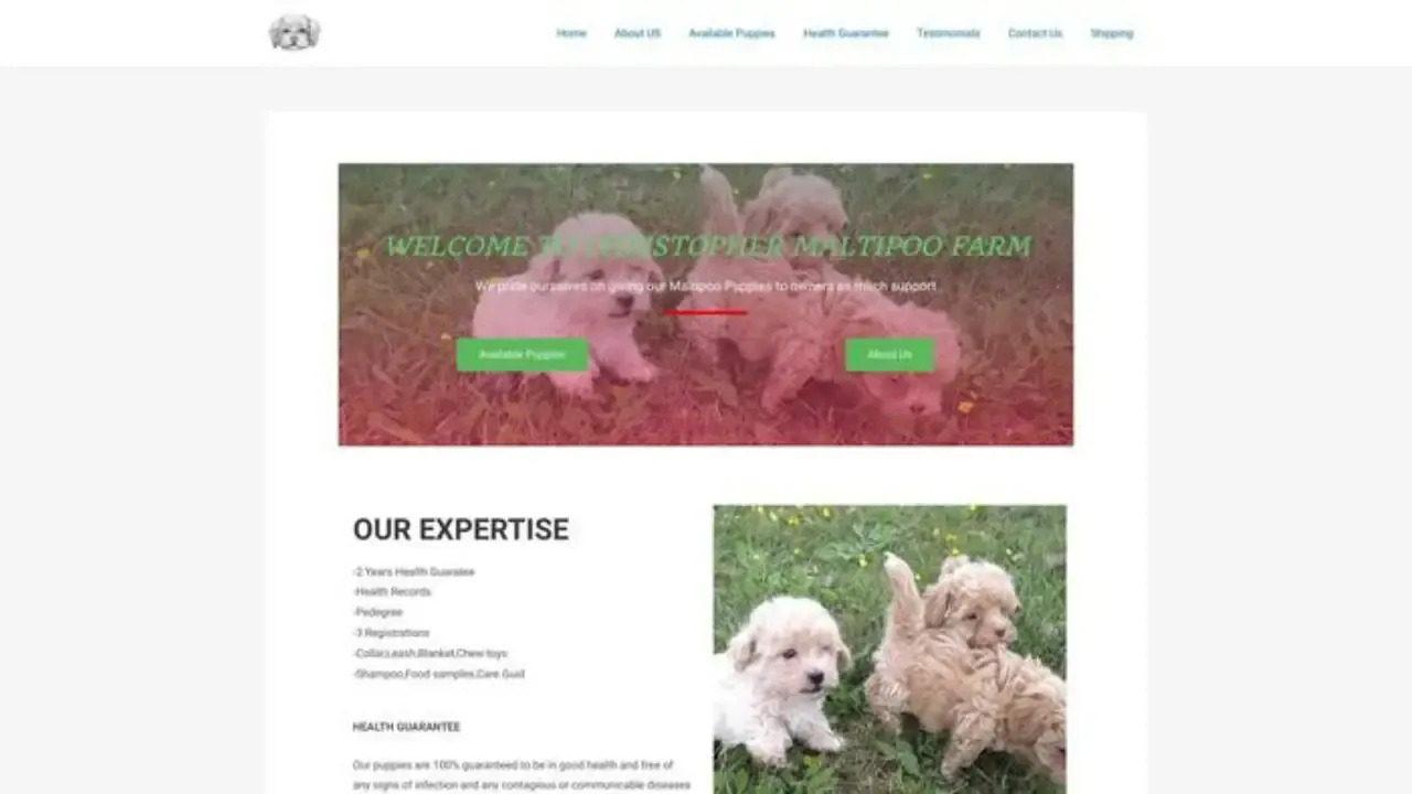Christophermaltipoo