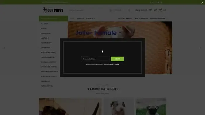 Screenshot of