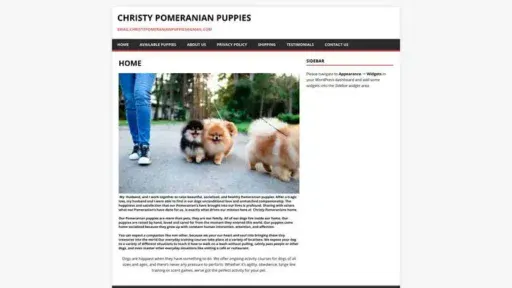 Screenshot of