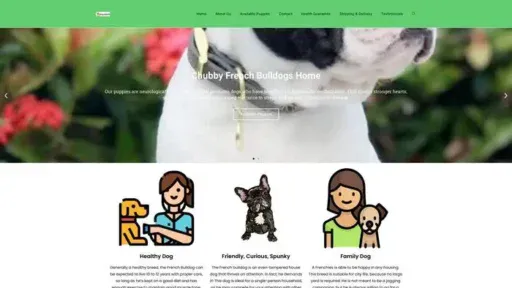 Screenshot of