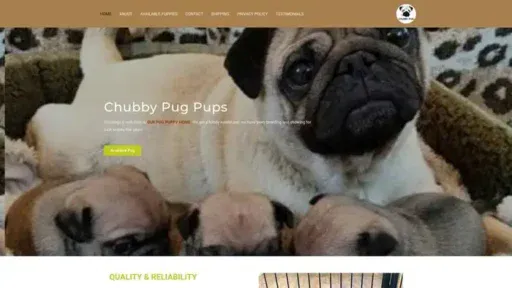 Screenshot of