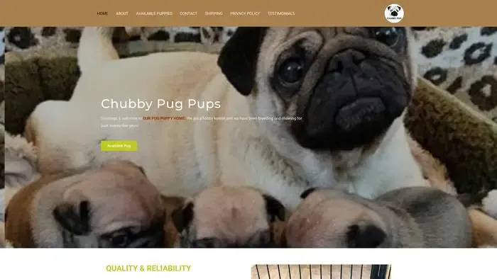 Screenshot of