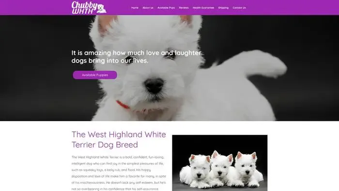 Screenshot of