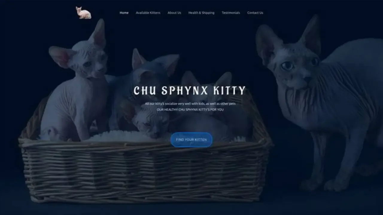 Screenshot of||