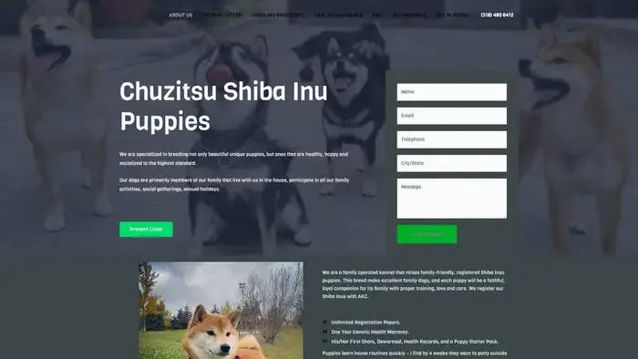 Screenshot of