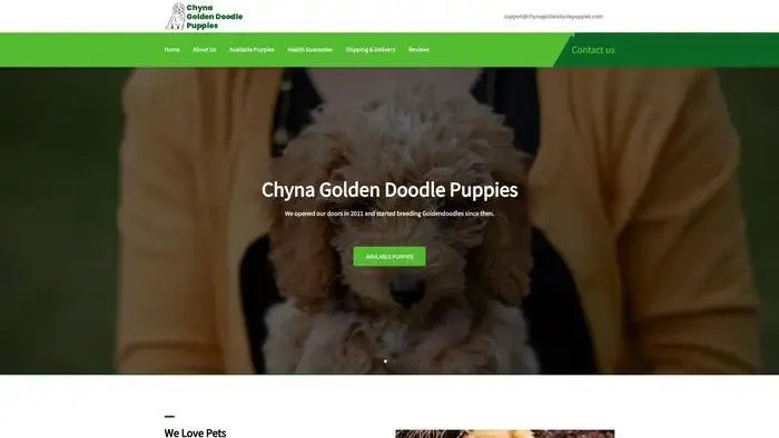 Screenshot of