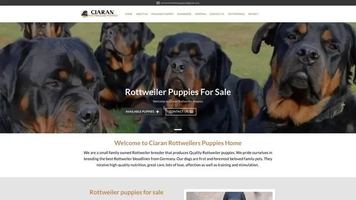 Screenshot of