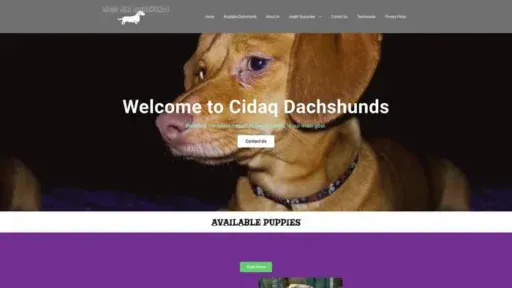 Screenshot of