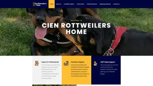 Screenshot of
