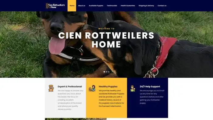Screenshot of