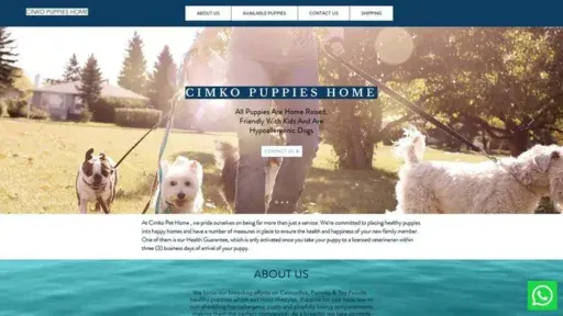 Screenshot of