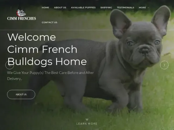 Screenshot of