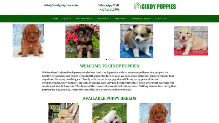 Screenshot of