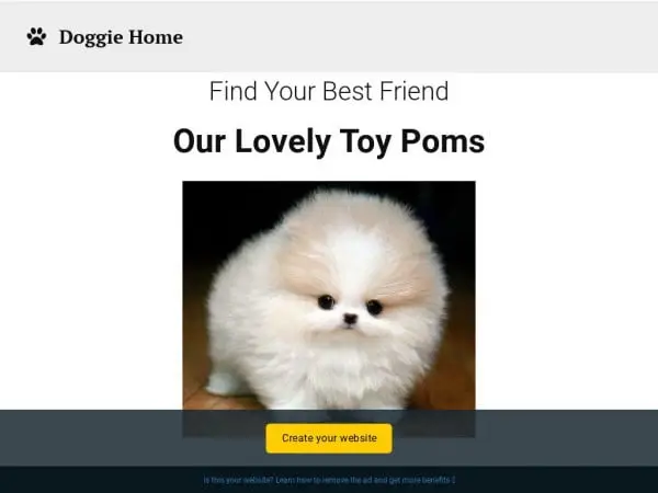 Screenshot of