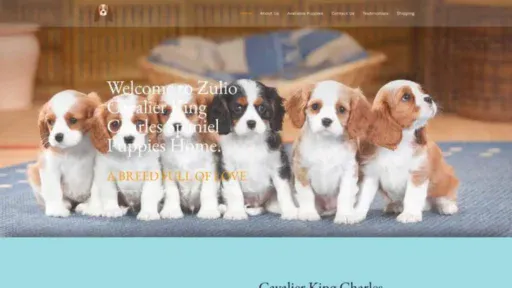 Screenshot of||