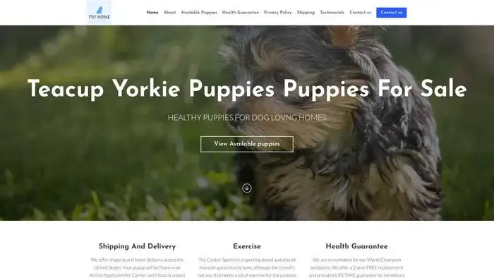 Screenshot of