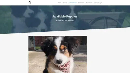 Screenshot of