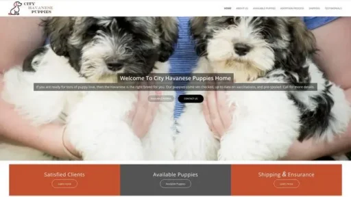 Screenshot of