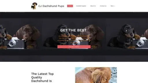 Screenshot of